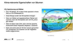 Der Baum als Hoffnungsträger
