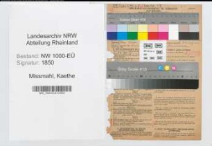 Entnazifizierung Kaethe Missmahl, geb. 11.07.1890 (Lehrerin)