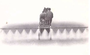 Foto Mann mit Pferd beim Spritzen