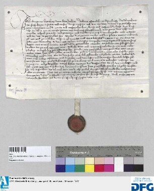 Dr. iur. utr. Gregorius Haymburg tritt auf drei Jahre in die Dienste der Stadt Nürnberg. - Siegler: der Aussteller.