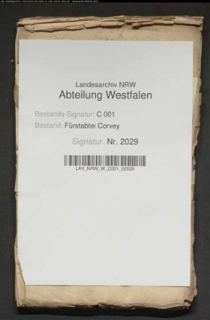 Belehnung der Familie Schmidt zu Breuna mit Gütern zu Wittmar vor Volkmarsen (ehemals Thießen)