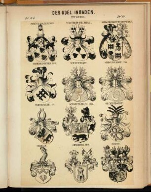 Taf. 45. Schütz-Holzhausen. - Schutzbar-Milchling. - Schwarzkoppen-Rottorf. - Schwarzkoppen. St-W. - Schweickhart. - Schweickhart, 1790. - Schweitzer, 1816. - Schweitzer, Fhr. 1844. - Seckendorff. - Seebach. - Sensburg. 1815. - Soiron.