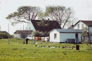 DDR. Gehöft auf Hiddensee
