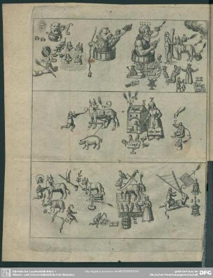 IV. [Classis VI., VII.]