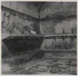 Herculaneum, terme femminili, Apodyterion mit charakteritischen Konsolen, geriffelter Stuckdecke und Mosaikfußboden (Triton mit Polypen, Muränen usw.)