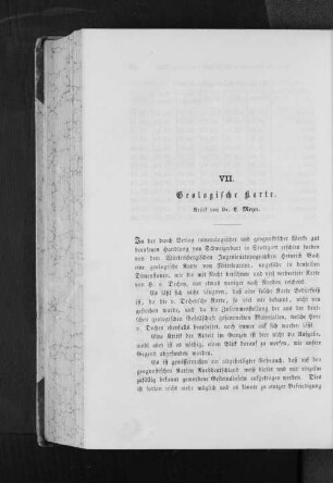 VII. Geologische Karte.