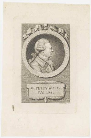 Bildnis des Peter Simon Pallas