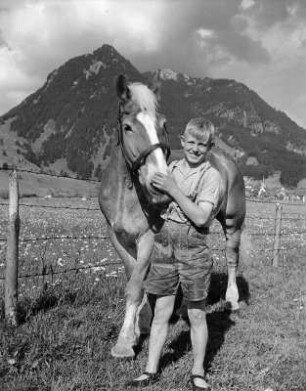 Kinderbilder. Junge mit einem Pferd auf der Weide