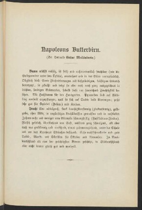 Napoleons Butterbirn. (Bei Detmold Grüne Mailänderin.)