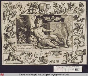 Memento Mori mit einem Putto auf einen Schädel gestützt mit Stundenglas und Seifenblase, umrahmt von Blüten, Früchten und diversen Tieren.
