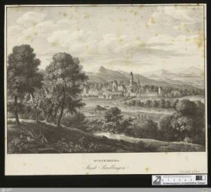 Würtemberg, Stadt Riedlingen
