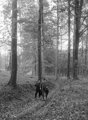 Heimweg nach der Jagd