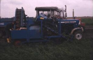 Fotografie: Gartenbautechnik-Freiland, Erntetechnik, Möhren, Radies, Sellerie, Zwiebel