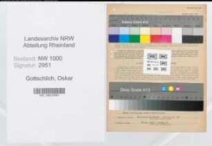 Entnazifizierung Oskar Gottschlich, geb. 01.04.1902 (Reg.Rat)