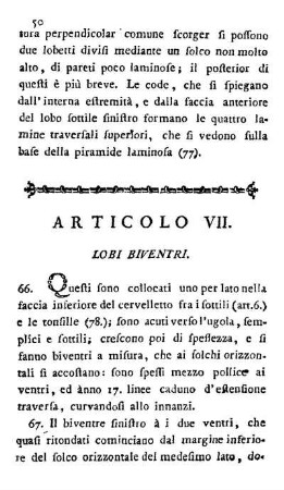 Articolo VII. Lobi Biventri.