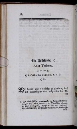 Die Fuchsänte. Anas Tadorna.