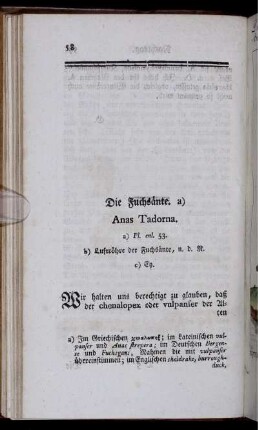 Die Fuchsänte. Anas Tadorna.