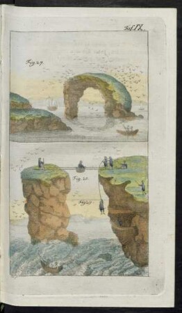 Taf. IX Fig. 27. - Fig. 29.