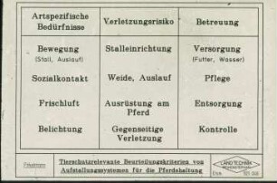 Übersicht: Pferdehaltung, Auslauf