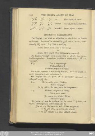 Idiomatic Expressions