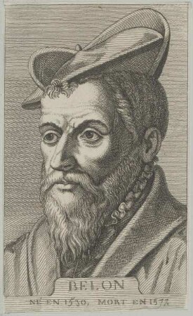 Bildnis des Pierre Belon