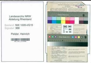 Entnazifizierung Heinrich Pelster , geb. 17.03.1903 (Postschaffner)