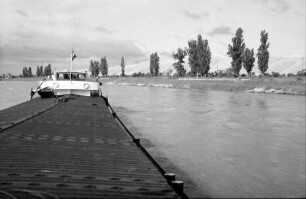 Neuenburg: Rhein bei Neuenburg