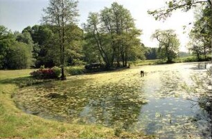 Herrenhaus Blumendorf: Teich