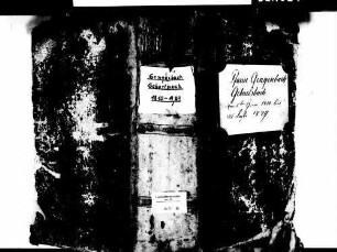 Gengenbach OG; Katholische Gemeinde: Geburtenbuch 1810-1829 Enthält: Einzelne Evangelische Einträge