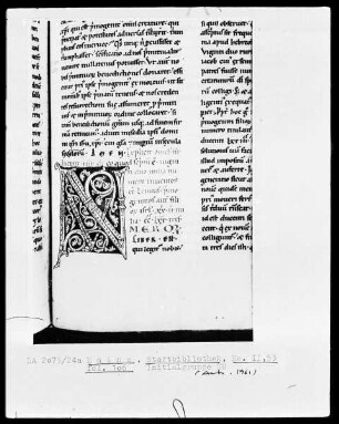 Homilien — Initiale N, Folio 106recto