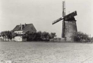 Knauthain, Mühlengehöft : Leipzig-Knauthain. Mühlengehöft. Feldansicht von Wohnhaus und Turmholländerwindmühle