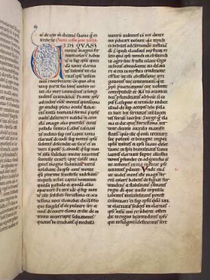 Zierinitiale (Pars I, Visio prima): V(idi quasi montem magnum)