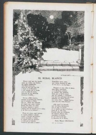 El rosal blanco