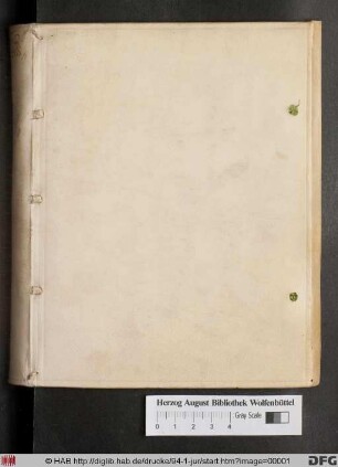 Decisiones Aureae : Casus Admodum Pulchros, Controversos Et Utiles Continentes Usu Practico, & quotidiana experientia observatae, & conscriptae ; Cum gemino Indice, uno Decisionum, altero Rerum & Verborum locupletißimo