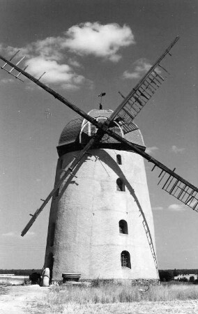 Falkenhain-Voigtshain. Turmholländer