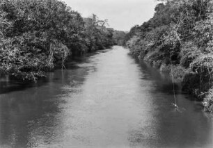 Der Rio Aguapehy : Blick entlang des Rio Aguapehys. Am Ufer dichte Vegetation.