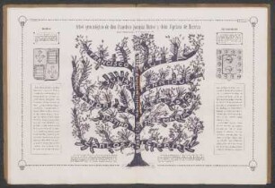 Arbol genealógico de don Francisco Joaquín Muñoz y doña Cipriana de Herrera