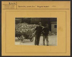 Räumen der Trümmer als Vorarbeit für den Neubau des Hauses der Sorben. Die Jugendbrigade aus Höflein. : Rumowanje rozwalinow za natwar Serbskeho domu. Młodźinska brigada z Wudworja.