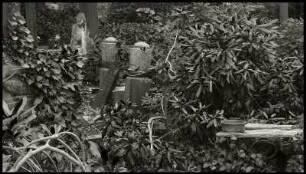Gestalten #05