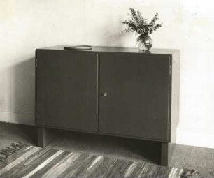 Moderne Möbel. Schränkchen (Anrichte, Bücherschrank). Schleiflack