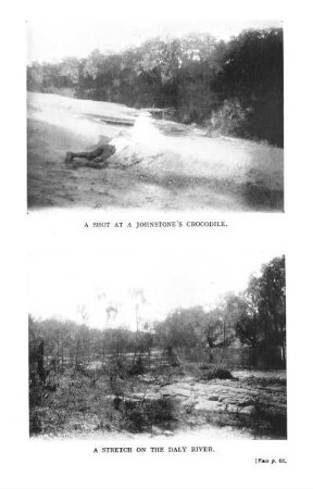 A Shot at a Johnstone's Crocodile A Stretch on the Daly River