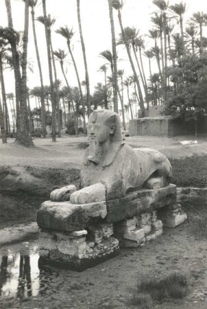 Memphis. Alabastersphinx an der Stätte des Ptah-Tempels (1550ante/1070ante)