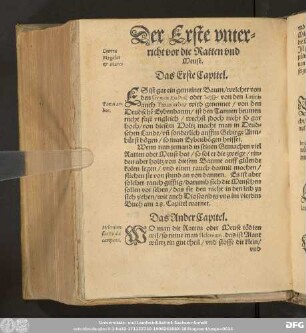 Der Erste vnterricht vor die Ratten vnd Meuse.