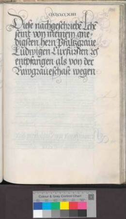 Aktivlehen der Raugrafschaft (Titelei)