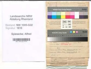 Entnazifizierung Alfred Spiesecke , geb. 29.11.1891 (Stadtinspektor)