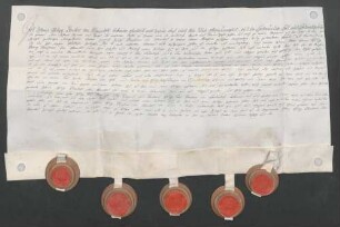Instrumentum probationis des Johann Philipp Wambolt von Umstadt.