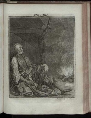 Fig. XII.