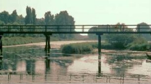 Mündung Rheinauer Altrhein bei Kappel-Grafenhausen in den Rhein