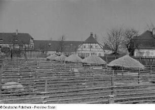 Freigehege mit Ställen