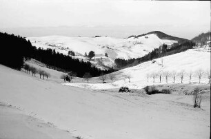 Schauinsland: Blick von der Holzschlägermatte auf Horben - Vogesen